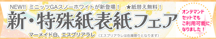 特殊紙フェア
